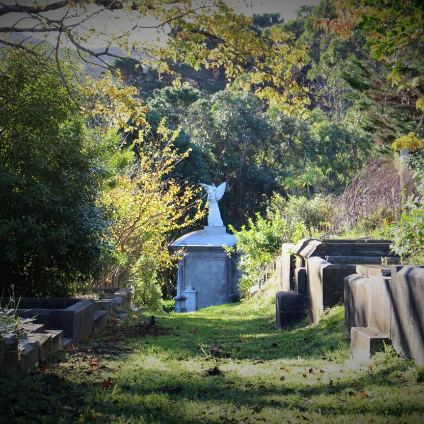 Public Autumn Friends of Karori Cemetery