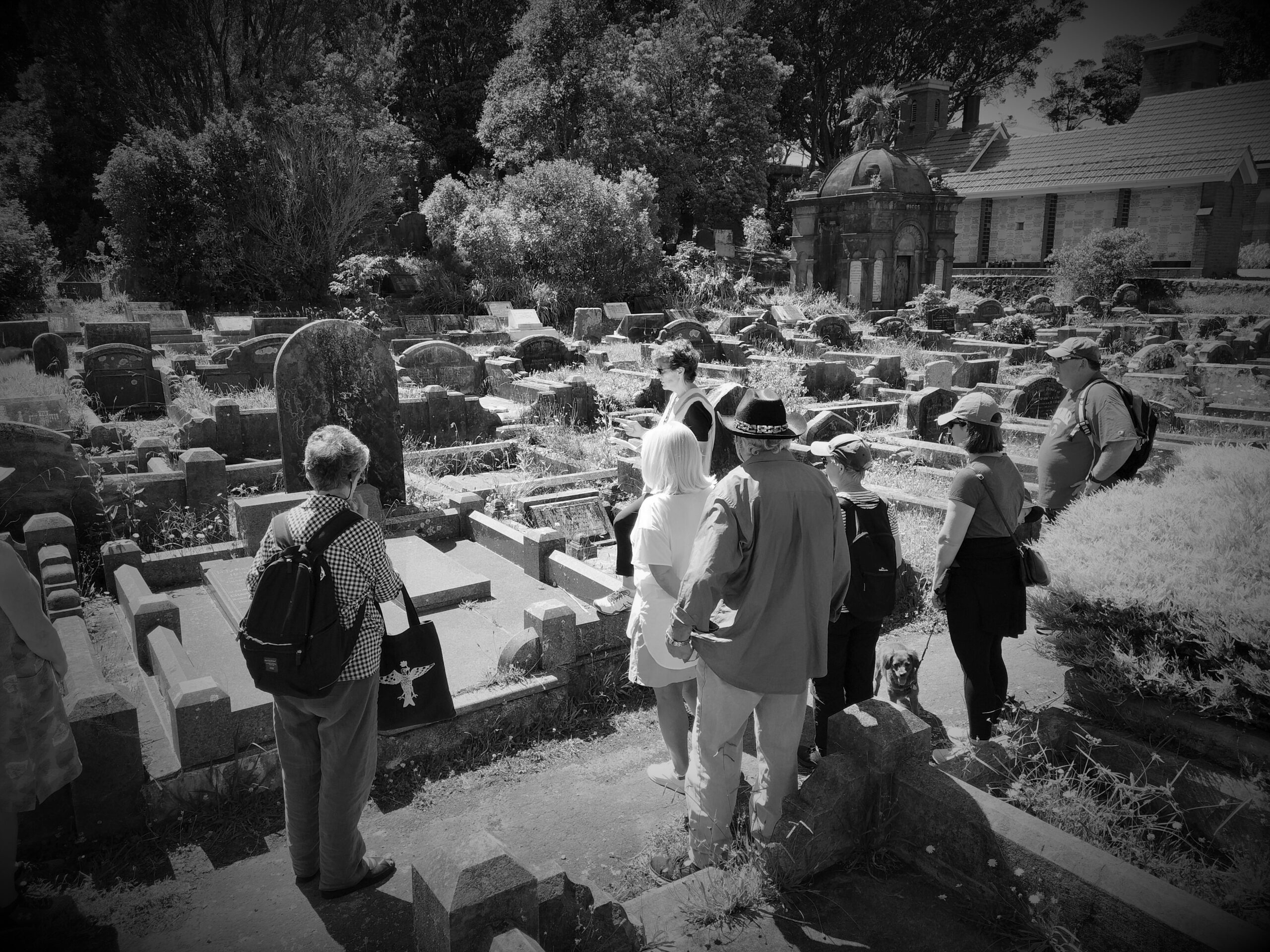 Friends of Karori Cemetery Tour